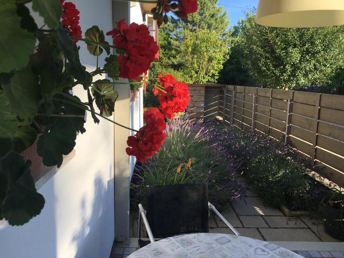 Szelrozsa Apartmanhaz Velence Exterior foto